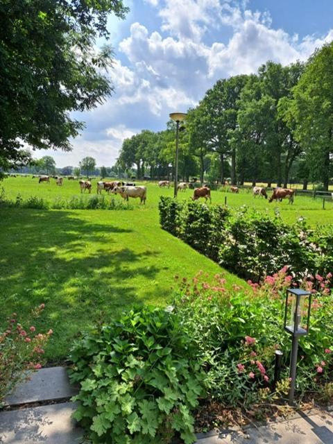 Bed and Breakfast Het Broekeroord Wezep Экстерьер фото